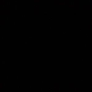 Meet your Posher, Reinaldo